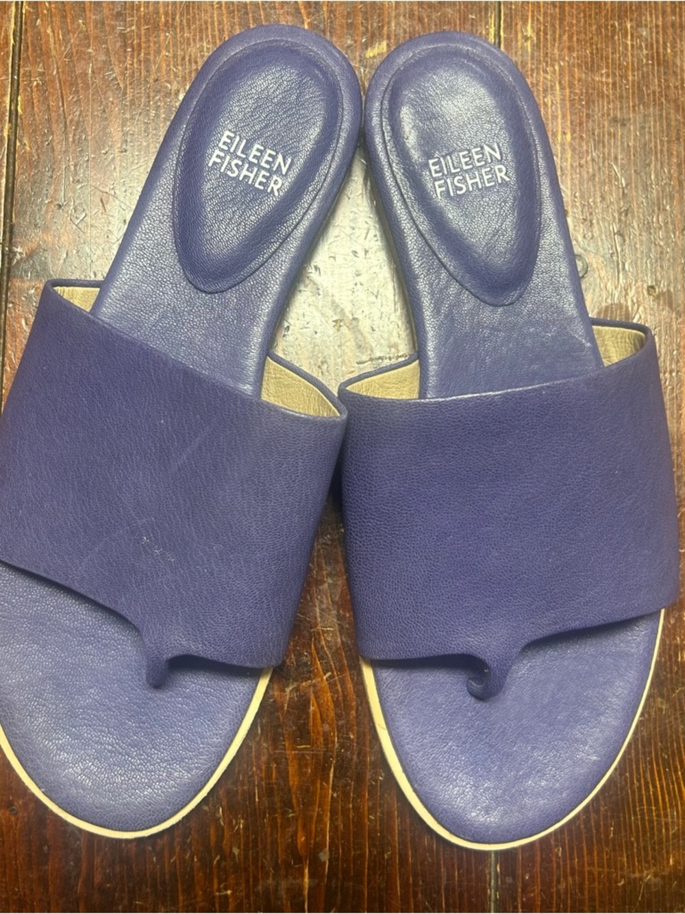 Eileen Fisher Navy Leather Toe-Loop Slide Sandals - Picture 5 of 5